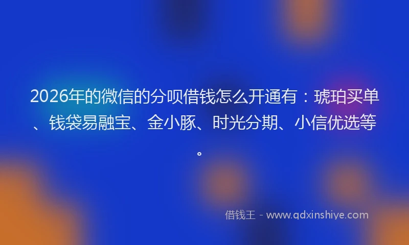 2026年的微信的分呗借钱怎么开通有：琥珀买单、钱袋易融宝、金小豚、时光分期、小信优选等。