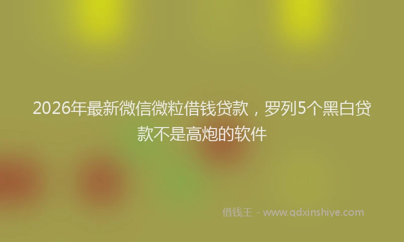 2026年最新微信微粒借钱贷款，罗列5个黑白贷款不是高炮的软件