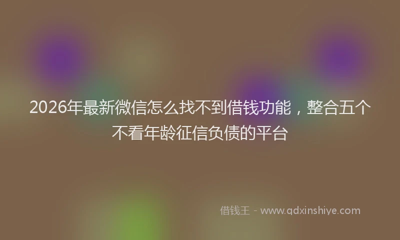 2026年最新微信怎么找不到借钱功能，整合五个不看年龄征信负债的平台