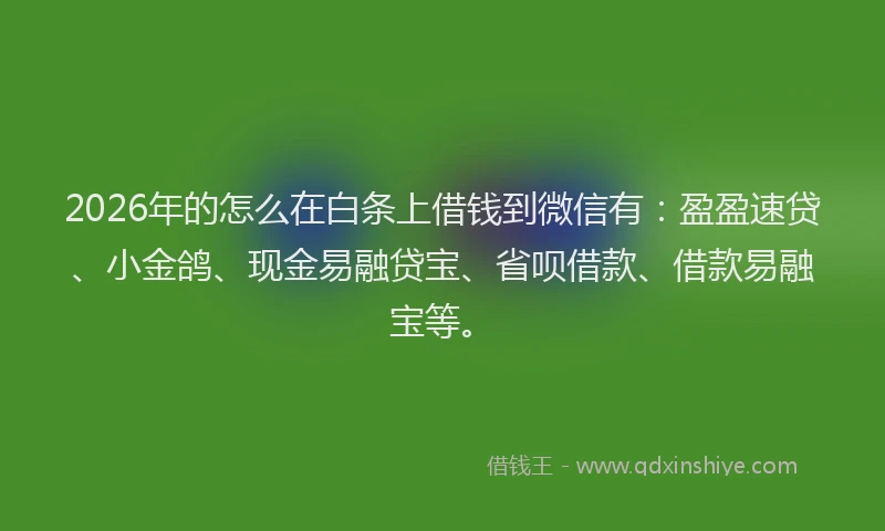 2026年的怎么在白条上借钱到微信有：盈盈速贷、小金鸽、现金易融贷宝、省呗借款、借款易融宝等。