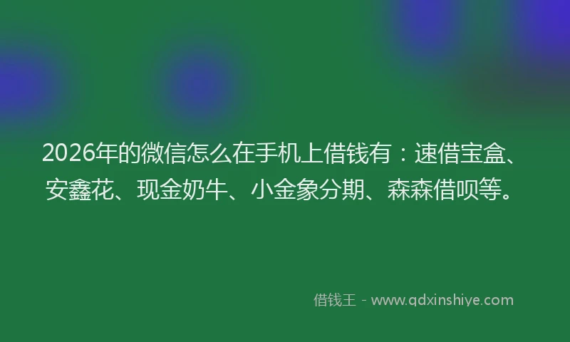 2026年的微信怎么在手机上借钱有：速借宝盒、安鑫花、现金奶牛、小金象分期、森森借呗等。