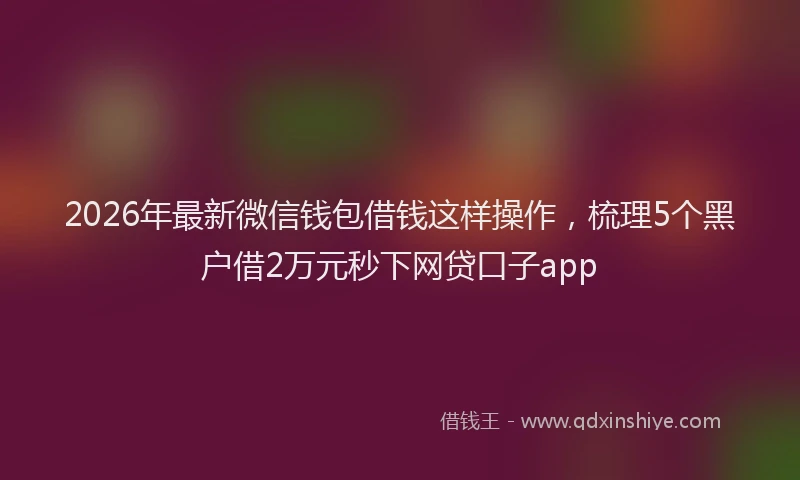 2026年最新微信钱包借钱这样操作，梳理5个黑户借2万元秒下网贷口子app