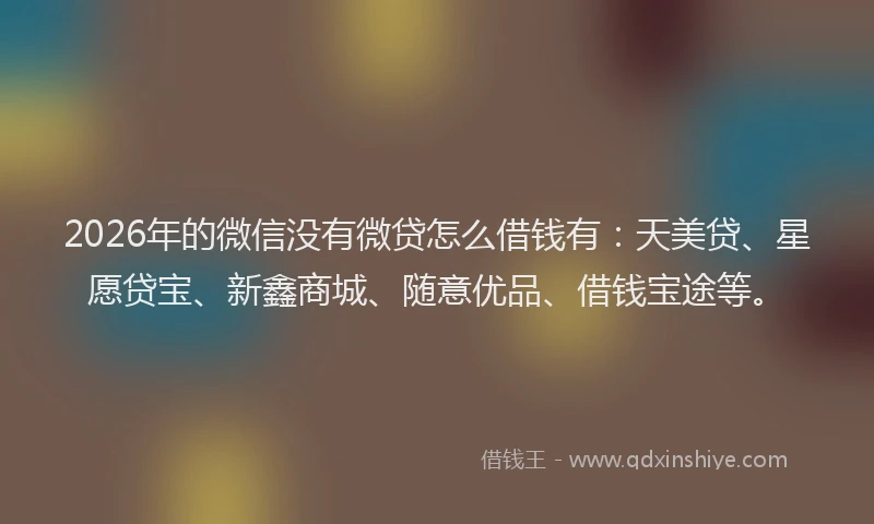 2026年的微信没有微贷怎么借钱有：天美贷、星愿贷宝、新鑫商城、随意优品、借钱宝途等。