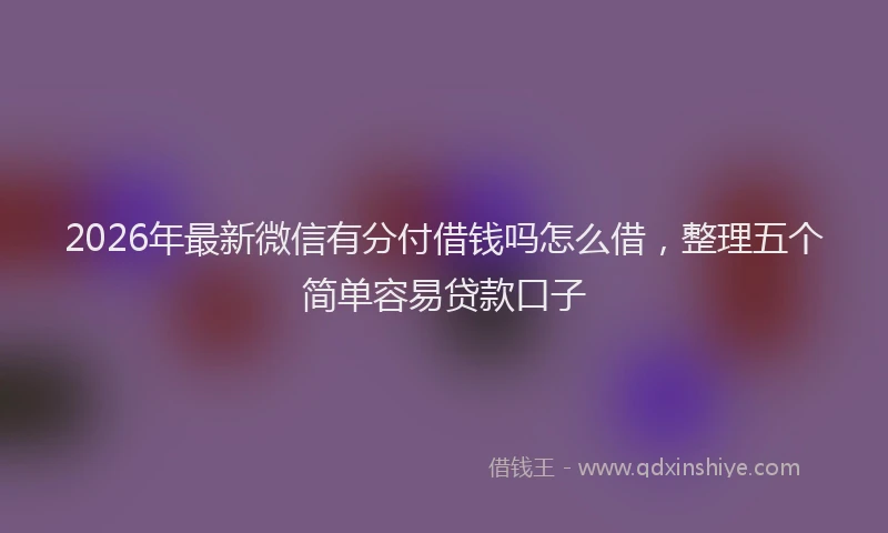 2026年最新微信有分付借钱吗怎么借，整理五个简单容易贷款口子