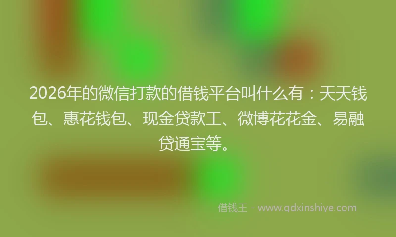 2026年的微信打款的借钱平台叫什么有：天天钱包、惠花钱包、现金贷款王、微博花花金、易融贷通宝等。