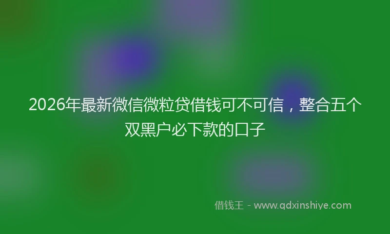 2026年最新微信微粒贷借钱可不可信，整合五个双黑户必下款的口子