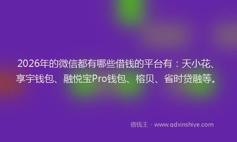 2026年的微信都有哪些借钱的平台有：天小花、享宇钱包、融悦宝Pro钱包、榕贝、省时贷融等。