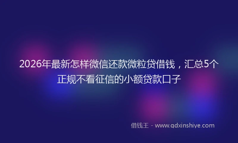 2026年最新怎样微信还款微粒贷借钱，汇总5个正规不看征信的小额贷款口子