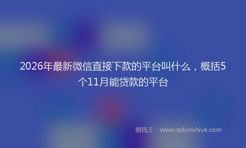 2026年最新微信直接下款的平台叫什么，概括5个11月能贷款的平台