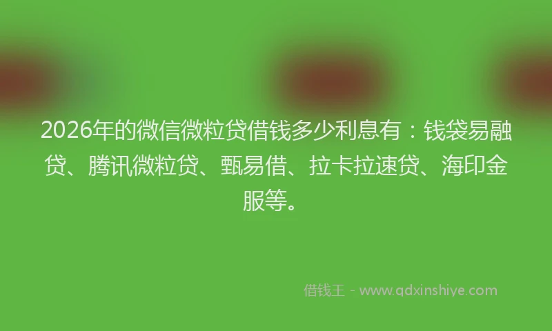 2026年的微信微粒贷借钱多少利息有：钱袋易融贷、腾讯微粒贷、甄易借、拉卡拉速贷、海印金服等。