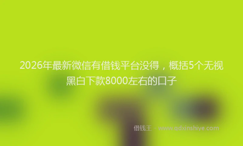 2026年最新微信有借钱平台没得，概括5个无视黑白下款8000左右的口子