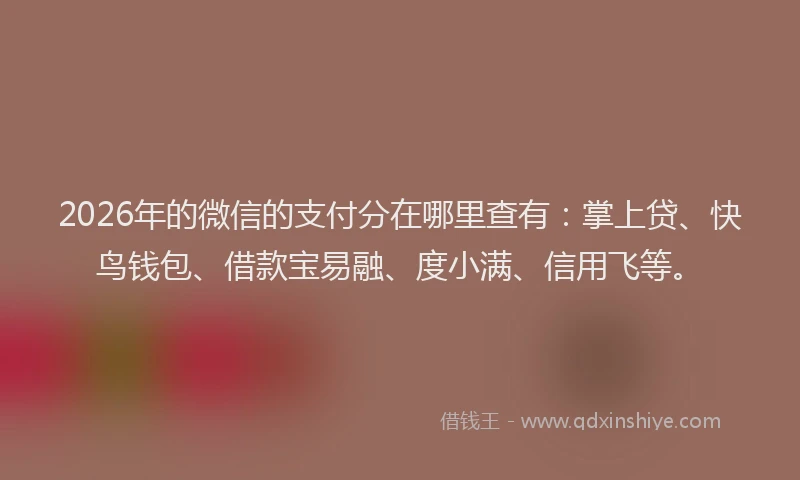 2026年的微信的支付分在哪里查有：掌上贷、快鸟钱包、借款宝易融、度小满、信用飞等。