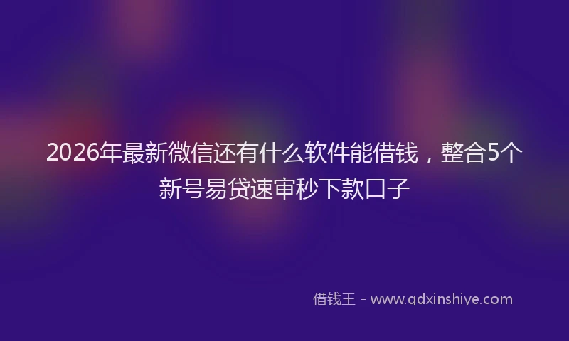 2026年最新微信还有什么软件能借钱，整合5个新号易贷速审秒下款口子
