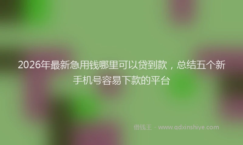 2026年最新急用钱哪里可以贷到款，总结五个新手机号容易下款的平台