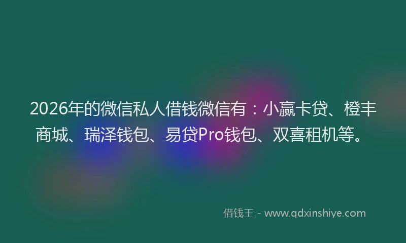 2026年的微信私人借钱微信有：小赢卡贷、橙丰商城、瑞泽钱包、易贷Pro钱包、双喜租机等。