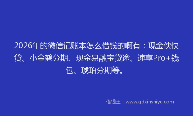 2026年的微信记账本怎么借钱的啊有：现金侠快贷、小金鹤分期、现金易融宝贷途、速享Pro+钱包、琥珀分期等。