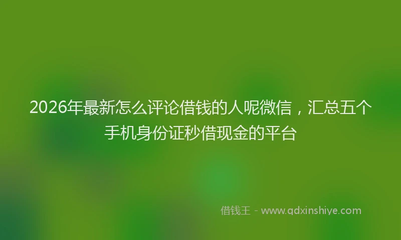 2026年最新怎么评论借钱的人呢微信，汇总五个手机身份证秒借现金的平台
