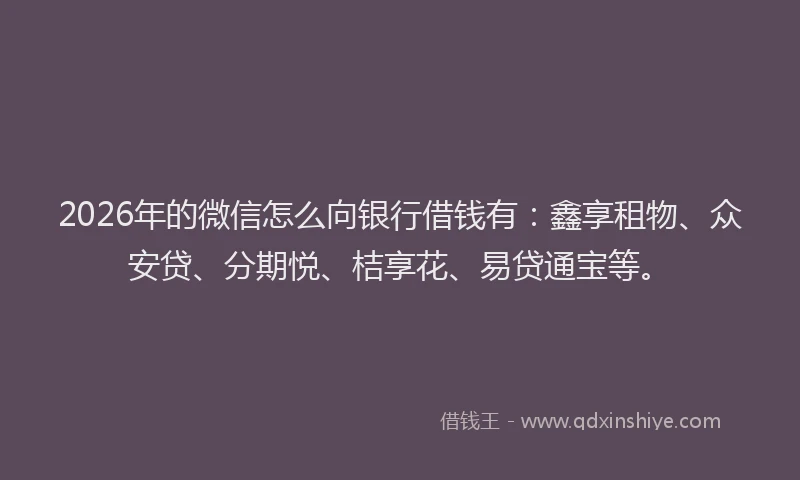 2026年的微信怎么向银行借钱有：鑫享租物、众安贷、分期悦、桔享花、易贷通宝等。