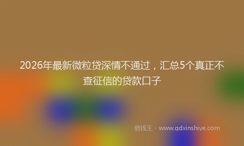 2026年最新微粒贷深情不通过，汇总5个真正不查征信的贷款口子