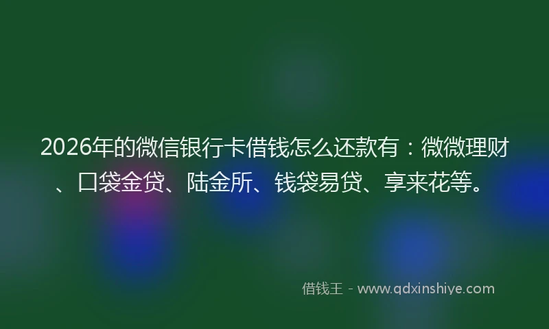 2026年的微信银行卡借钱怎么还款有：微微理财、口袋金贷、陆金所、钱袋易贷、享来花等。