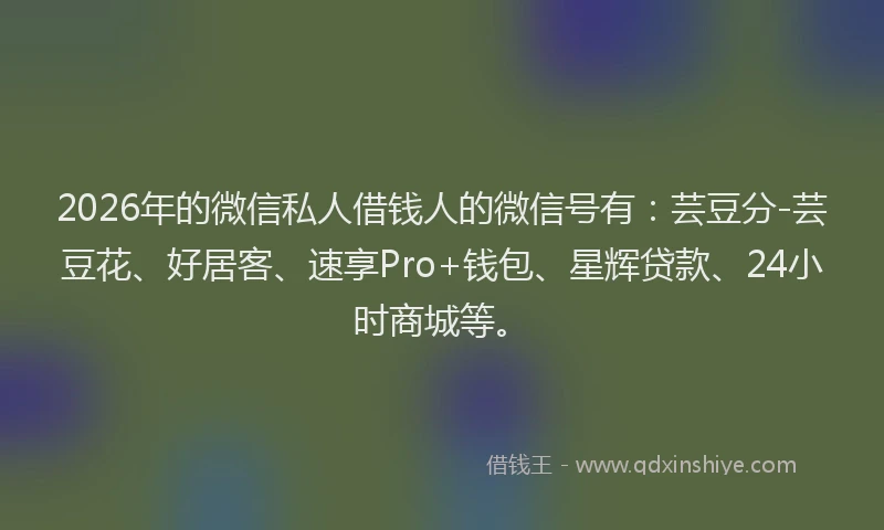 2026年的微信私人借钱人的微信号有：芸豆分-芸豆花、好居客、速享Pro+钱包、星辉贷款、24小时商城等。
