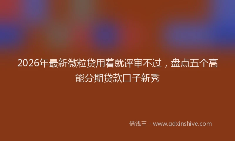 2026年最新微粒贷用着就评审不过，盘点五个高能分期贷款口子新秀