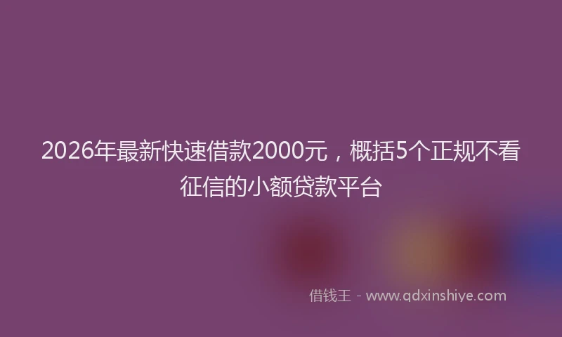 2026年最新快速借款2000元，概括5个正规不看征信的小额贷款平台