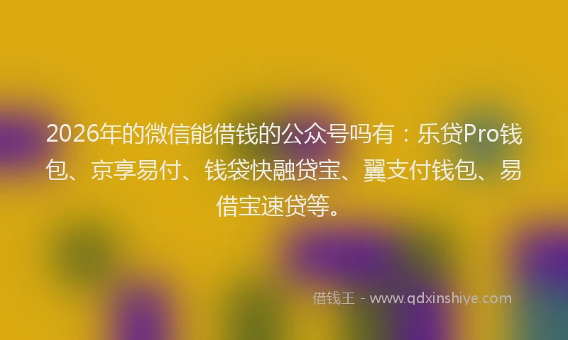 2026年的微信能借钱的公众号吗有：乐贷Pro钱包、京享易付、钱袋快融贷宝、翼支付钱包、易借宝速贷等。