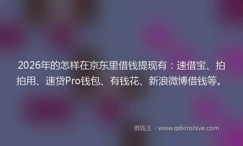 2026年的怎样在京东里借钱提现有：速借宝、拍拍用、速贷Pro钱包、有钱花、新浪微博借钱等。