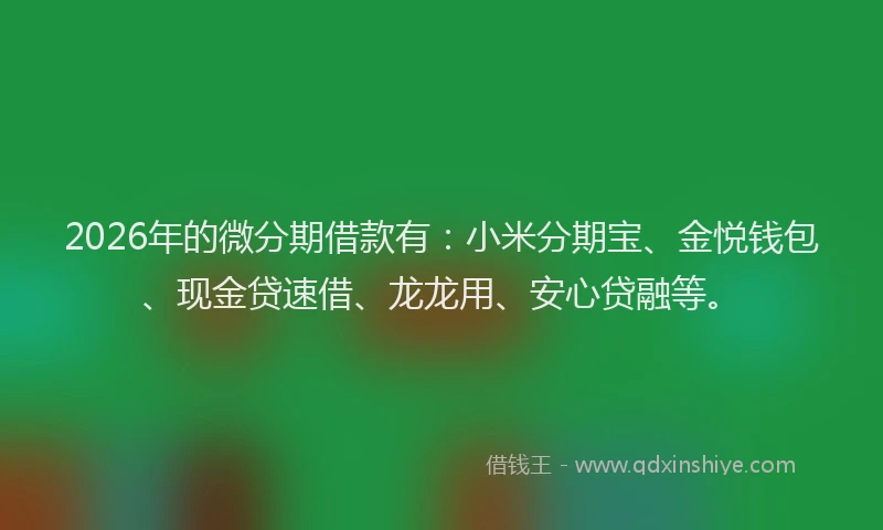 2026年的微分期借款有：小米分期宝、金悦钱包、现金贷速借、龙龙用、安心贷融等。