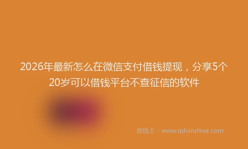 2026年最新怎么在微信支付借钱提现，分享5个20岁可以借钱平台不查征信的软件