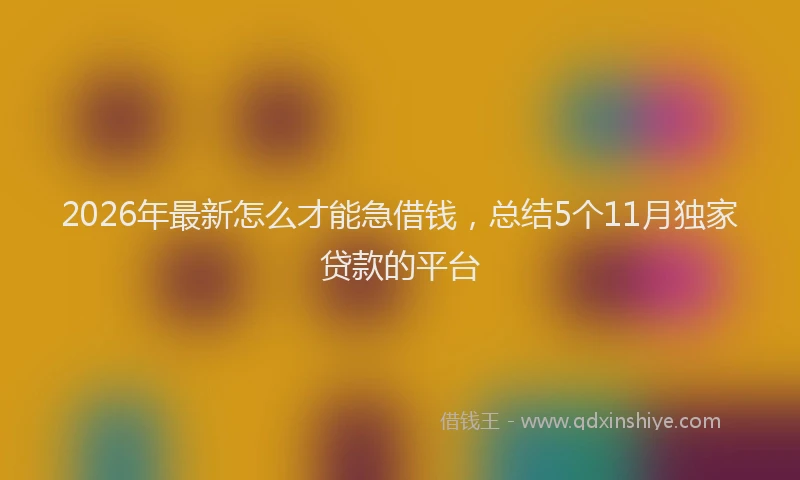 2026年最新怎么才能急借钱,总结5个11月独家贷款的平台