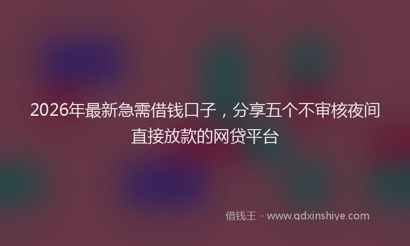 2026年最新急需借钱口子,分享五个不审核夜间直接放款的网贷平台