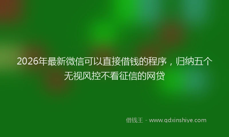 2026年最新微信可以直接借钱的程序，归纳五个无视风控不看征信的网贷
