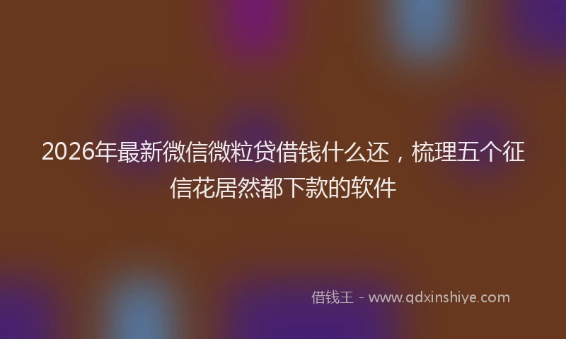 2026年最新微信微粒贷借钱什么还，梳理五个征信花居然都下款的软件