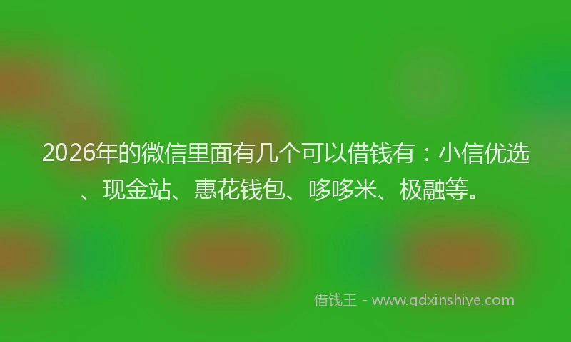 2026年的微信里面有几个可以借钱有：小信优选、现金站、惠花钱包、哆哆米、极融等。