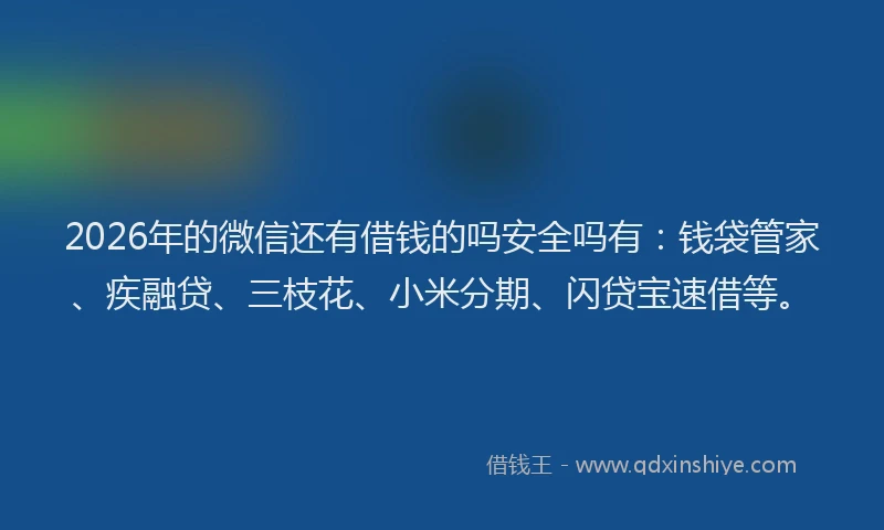 2026年的微信还有借钱的吗安全吗有：钱袋管家、疾融贷、三枝花、小米分期、闪贷宝速借等。
