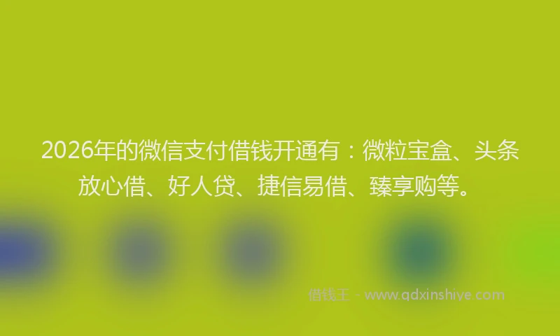 2026年的微信支付借钱开通有：微粒宝盒、头条放心借、好人贷、捷信易借、臻享购等。