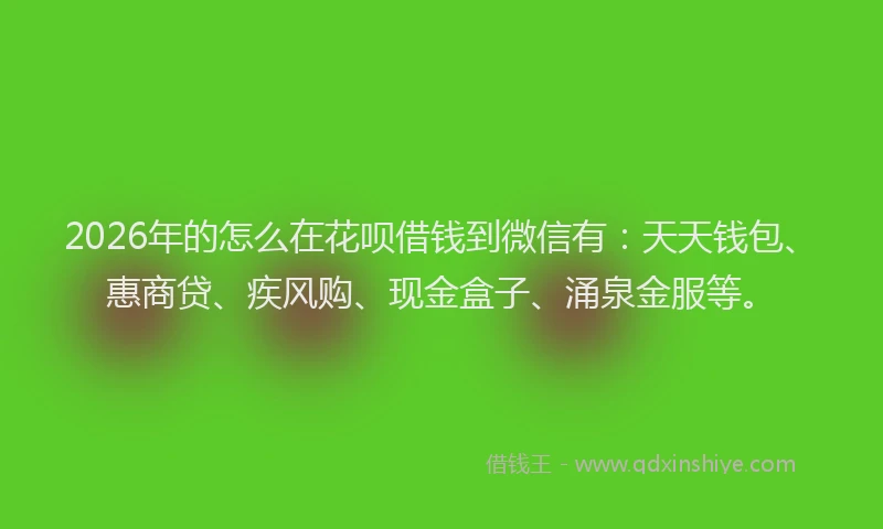 2026年的怎么在花呗借钱到微信有:天天钱包、惠商贷、疾风购、现金盒子、涌泉金服等。