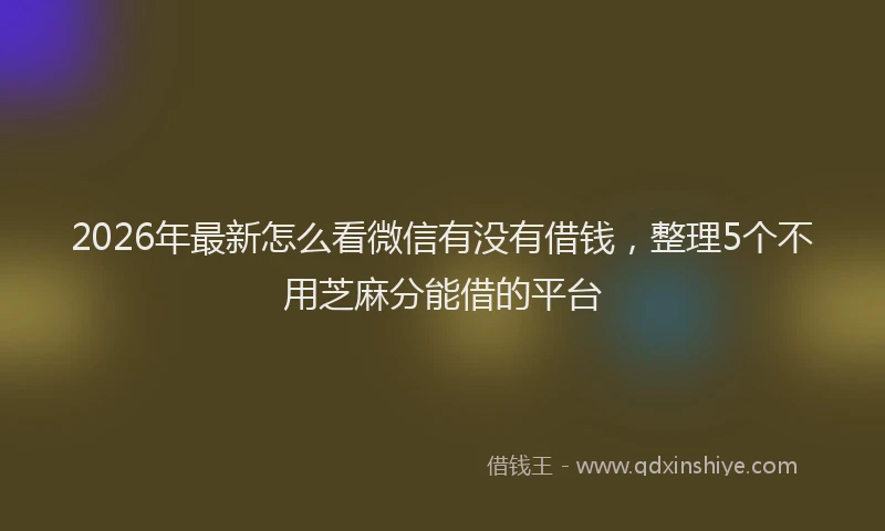 2026年最新怎么看微信有没有借钱，整理5个不用芝麻分能借的平台