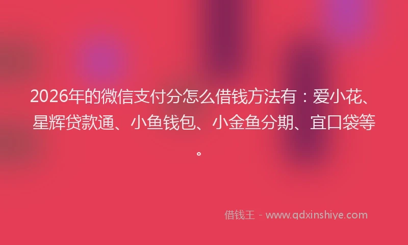 2026年的微信支付分怎么借钱方法有：爱小花、星辉贷款通、小鱼钱包、小金鱼分期、宜口袋等。