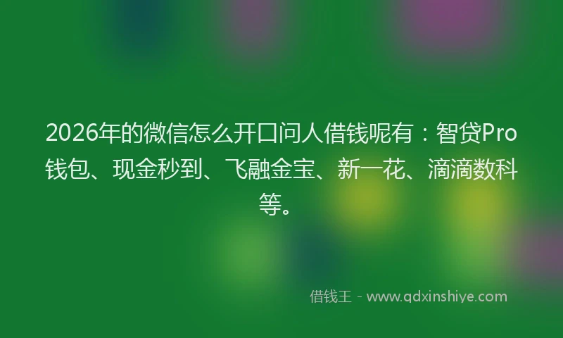 2026年的微信怎么开口问人借钱呢有：智贷Pro钱包、现金秒到、飞融金宝、新一花、滴滴数科等。