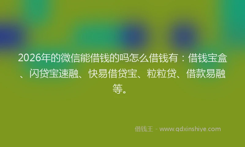 2026年的微信能借钱的吗怎么借钱有：借钱宝盒、闪贷宝速融、快易借贷宝、粒粒贷、借款易融等。