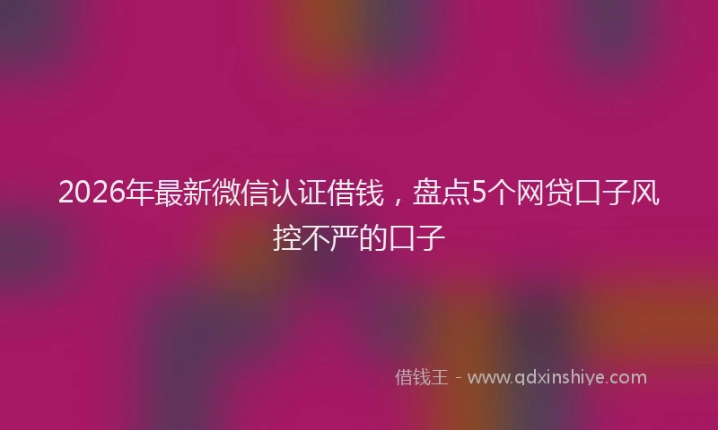2026年最新微信认证借钱，盘点5个网贷口子风控不严的口子