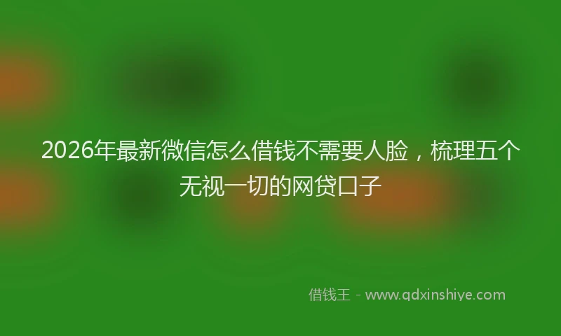 2026年最新微信怎么借钱不需要人脸，梳理五个无视一切的网贷口子