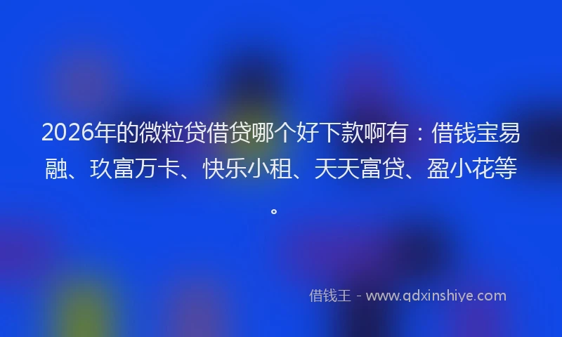 2026年的微粒贷借贷哪个好下款啊有：借钱宝易融、玖富万卡、快乐小租、天天富贷、盈小花等。