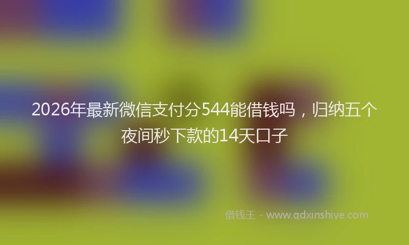 2026年最新微信支付分544能借钱吗，归纳五个夜间秒下款的14天口子
