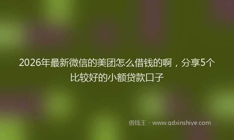 2026年最新微信的美团怎么借钱的啊，分享5个比较好的小额贷款口子