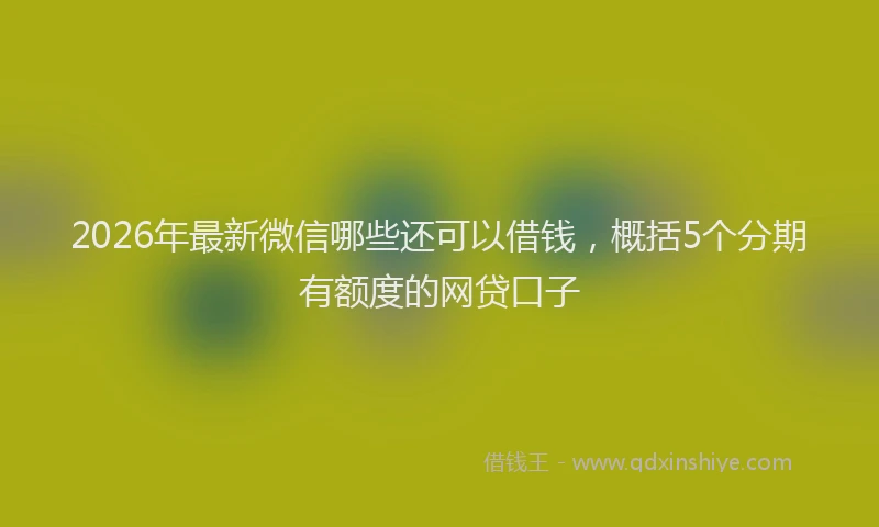 2026年最新微信哪些还可以借钱，概括5个分期有额度的网贷口子
