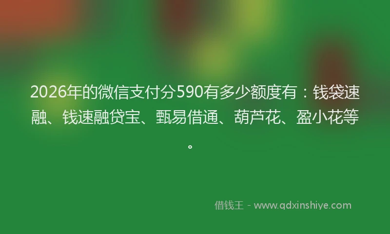 2026年的微信支付分590有多少额度有：钱袋速融、钱速融贷宝、甄易借通、葫芦花、盈小花等。